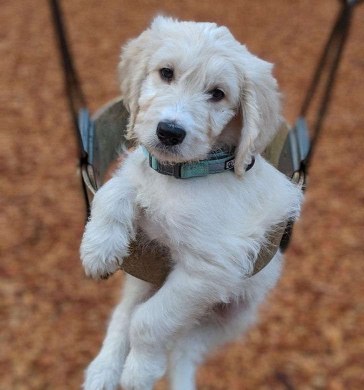 9974ca595c8bbe689d893a759b