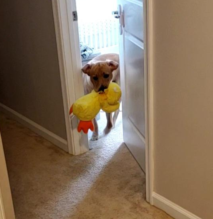 9976535a4b9eda0bac5259c721