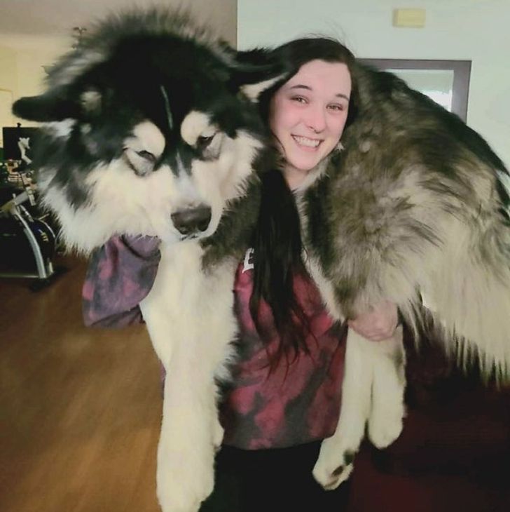 997a8c51ca8df0154b5f4254b5