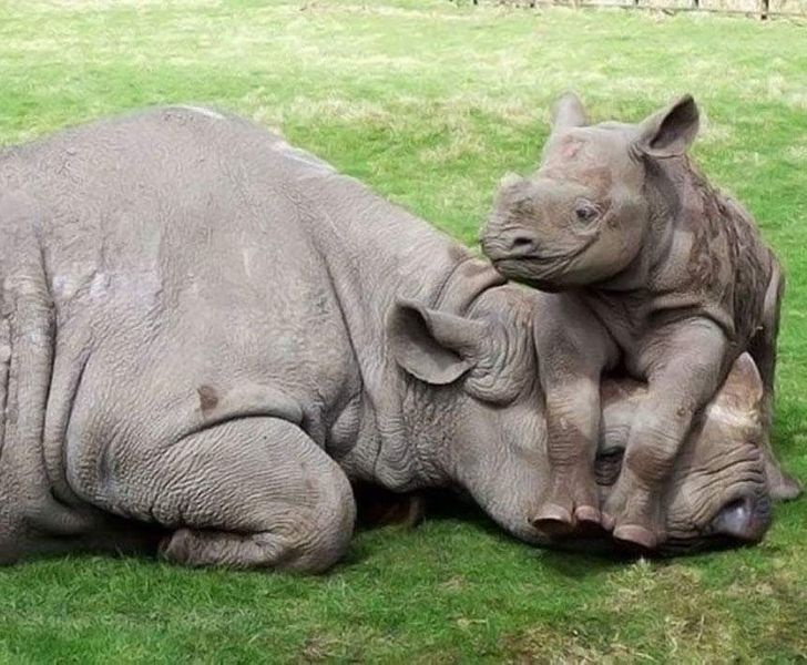 9984d95818953a91114b38fa36