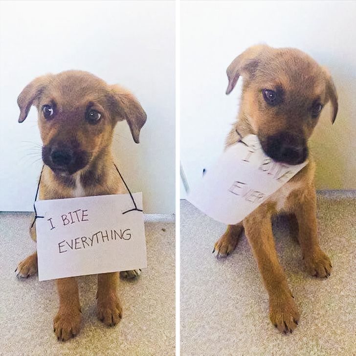 9986f65d11bb831f31c5ef3fac