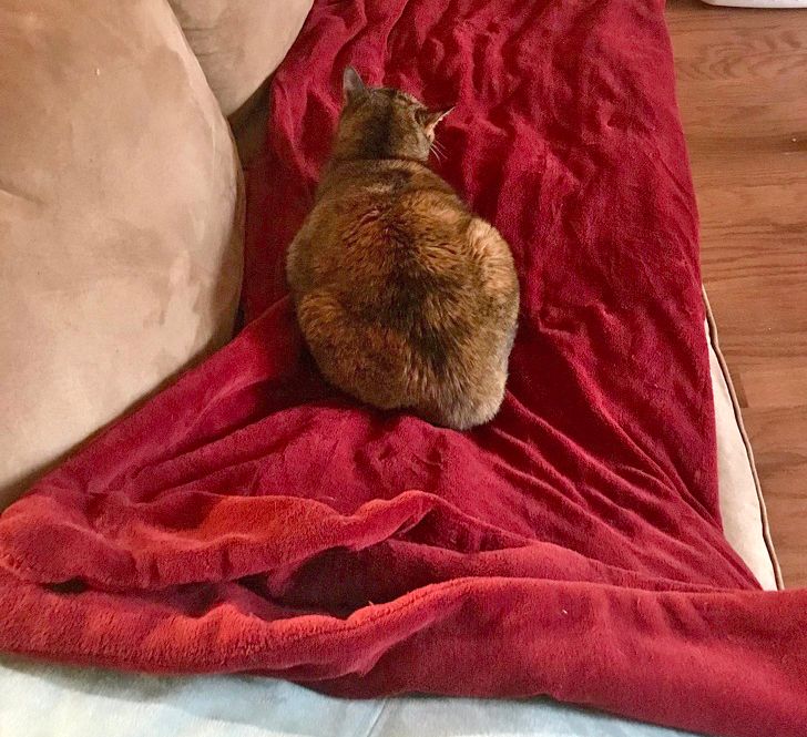 99882253a8a66cfc0546e316c2