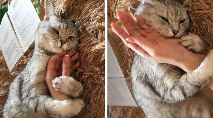 998ebe52db9e0d35db63d6e659