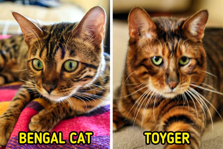 9997995511bf06c36f062285b6