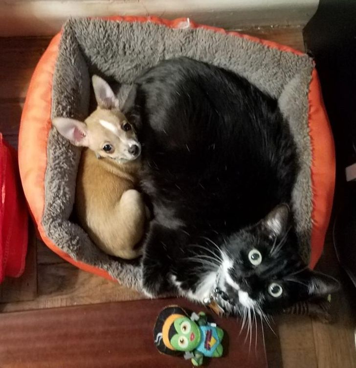 99a1775008b183757531ec8acf