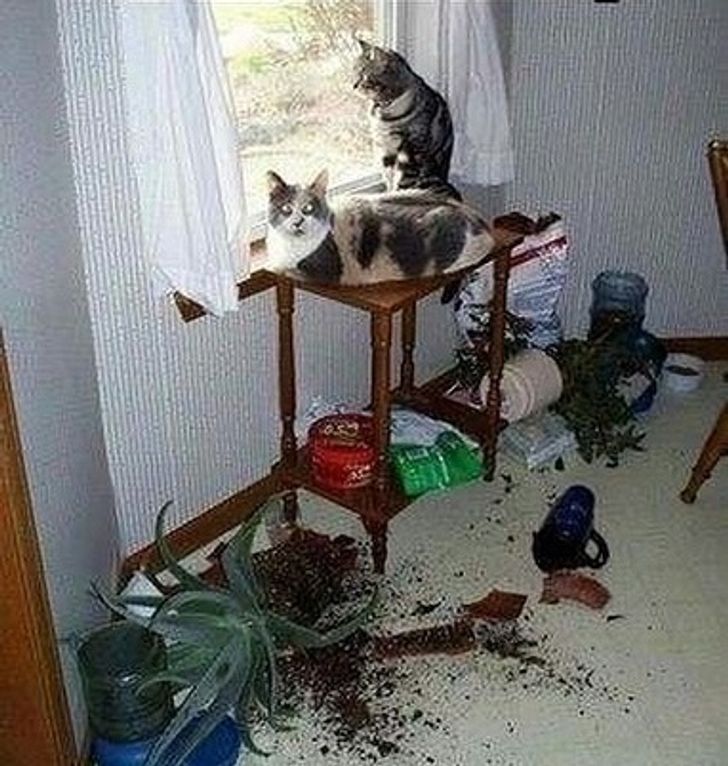 99a1e85b4e872510e5c69e7d27