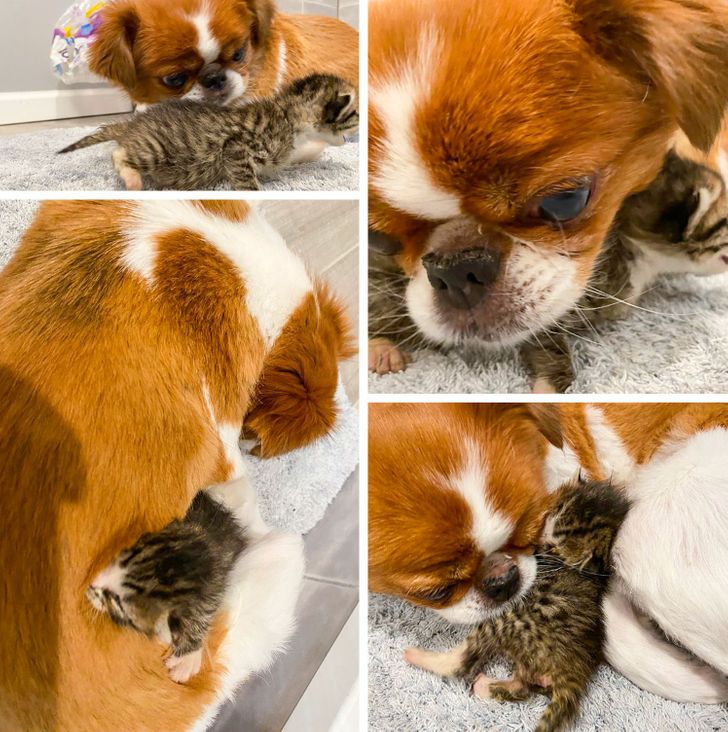 99a8e852bdb84c518948cbc830