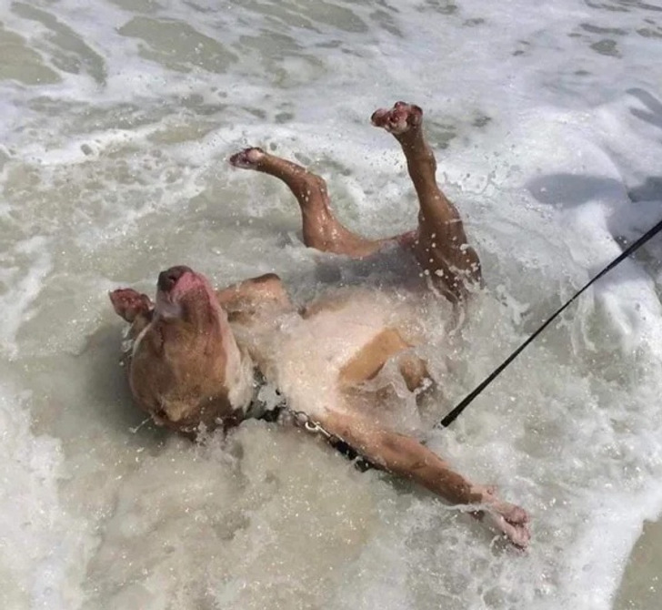 99bdc25f1798e73bb5d5b80ad4