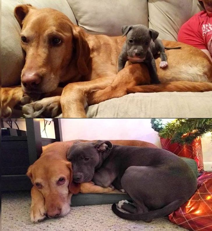 99bf27531093b7adc69be85c7f