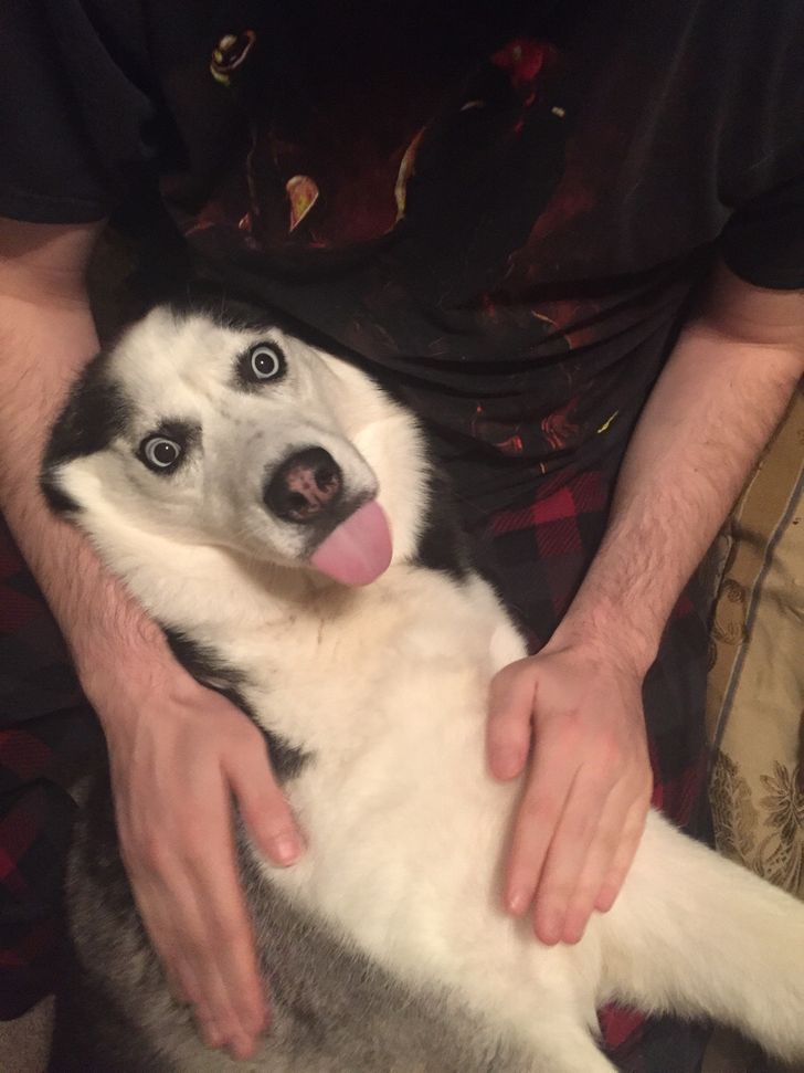 99c22f5b00898f83ee3c9c1764