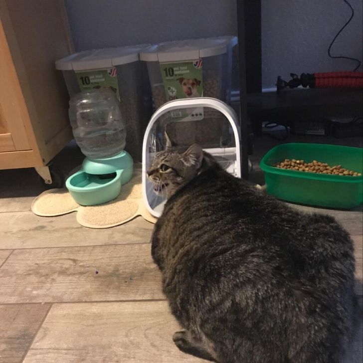 99ccc053adb75240cd77dbcaa7