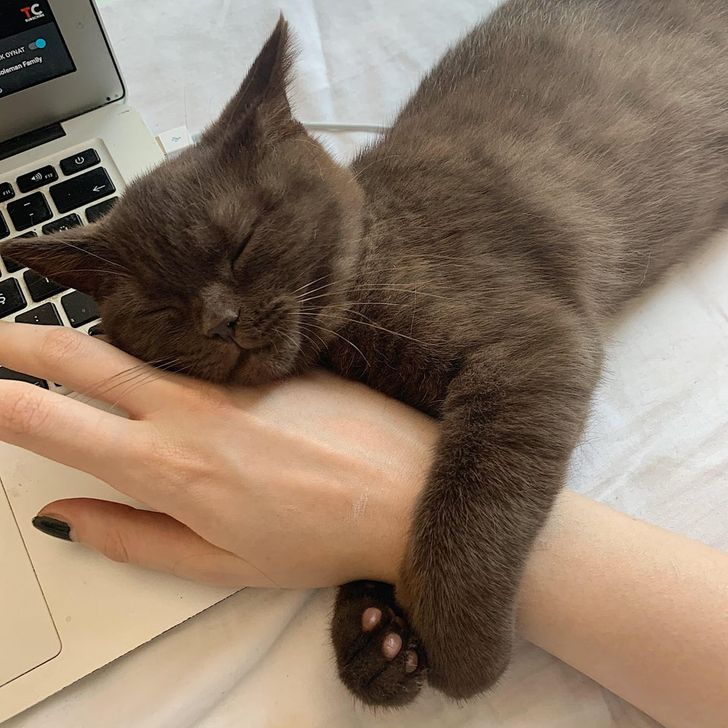 99ced65db18c762824eb5298ef