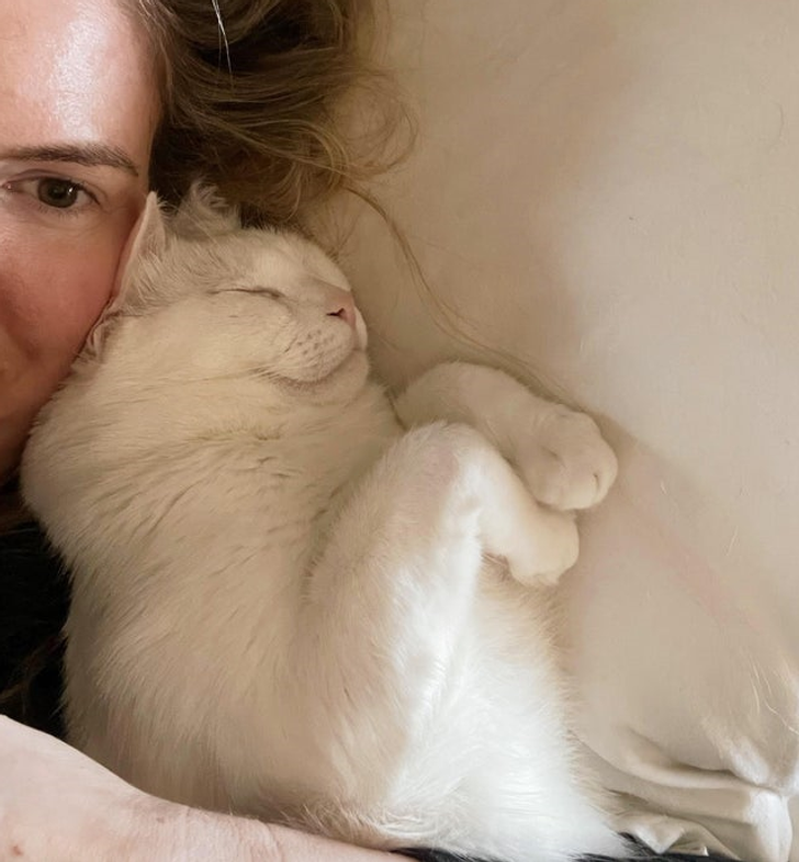 99cf27588db88459e69e17206e