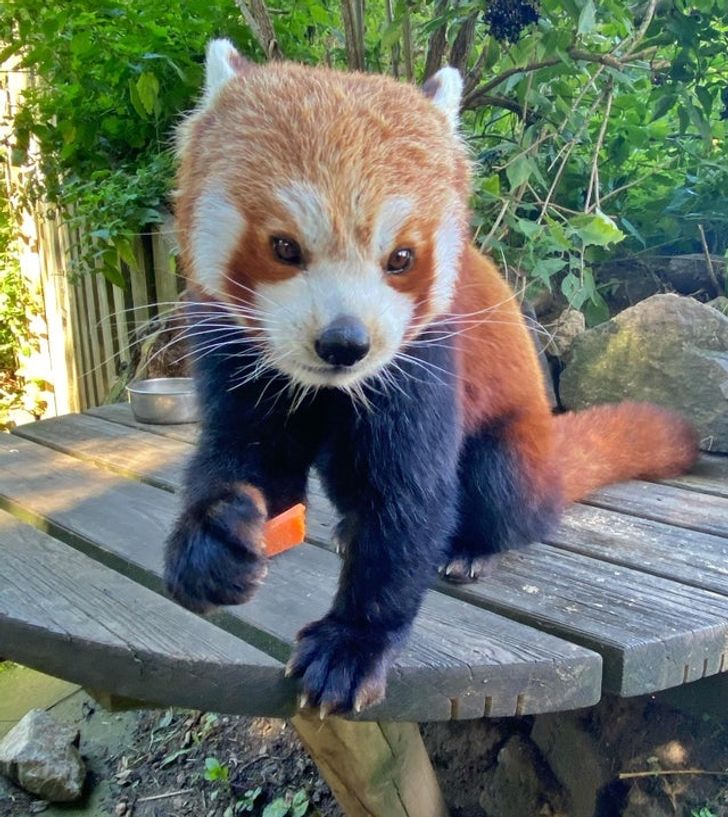 99d99e5141a8f929a0c323bc67