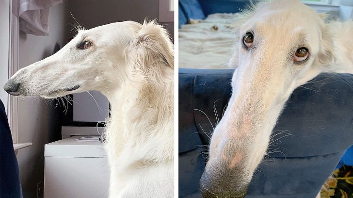 99dc2a548cac0953488737fe47