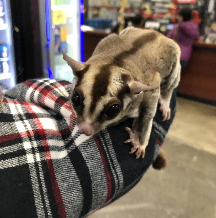 99de92572e983ec59498d1c819