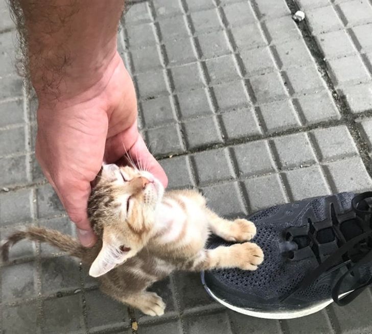 99e1c45ff1814db1b8044b0537