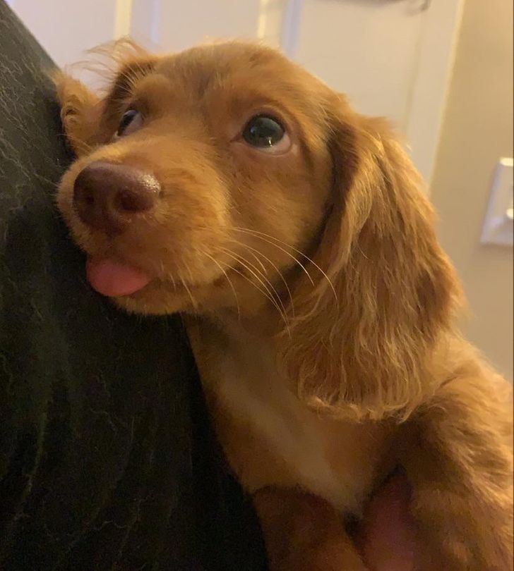 99e7395606b117cdc87805c880