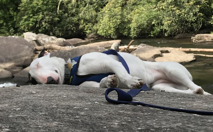 99ff825495bf3d4fdb7e23da6b