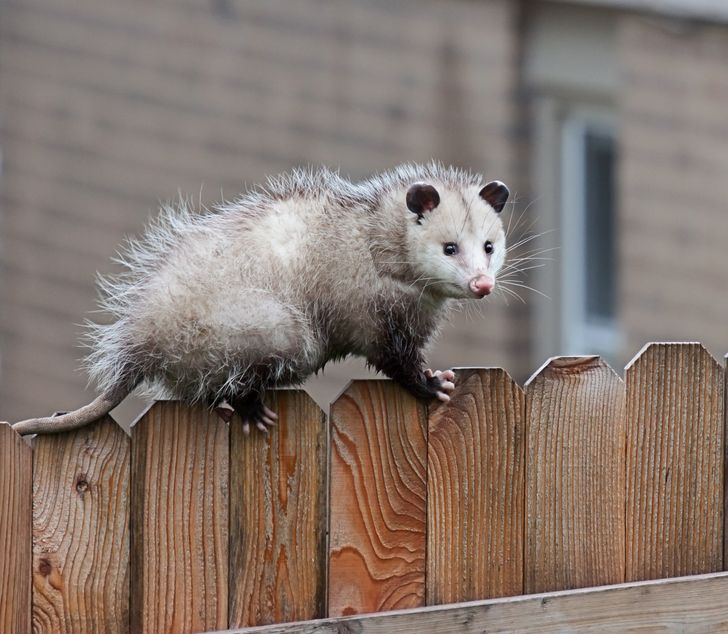 9a003b58acadb340824b4f5889