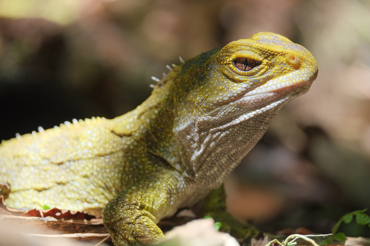 9a062252d9baadb6b574e20b96