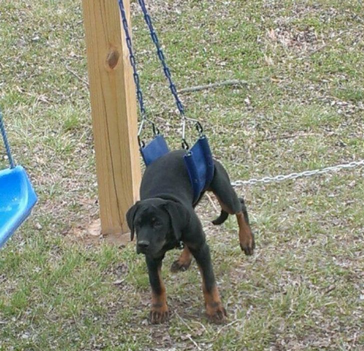 9a0b0a58c997416617600f9b90