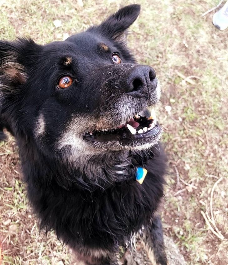 9a0b8b59b287f2f01462900f1d