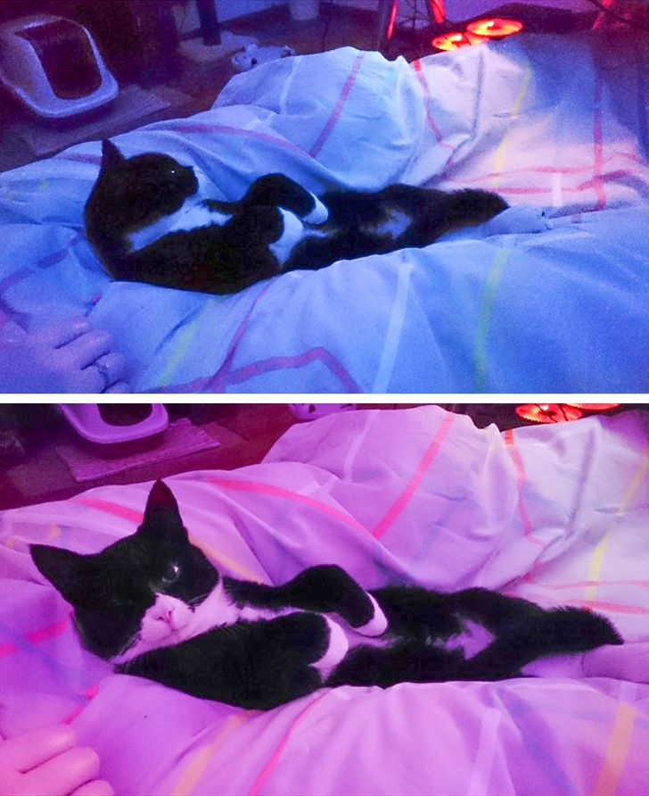 9a12bb5e56835b4246bf353c30