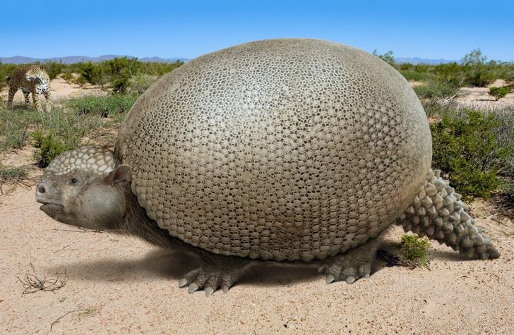 9a1333583cafd31913f34125f7