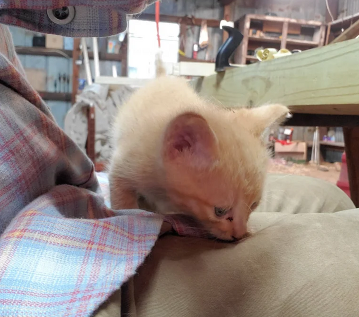 9a140c59d29372ba2abffffcfa