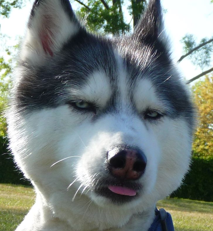 9a174757598a116919cbd4e8eb