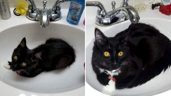 9a18a959c9a76b5a53773de23c