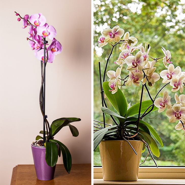 9a277b5a2b9f34706f4bcce3c0