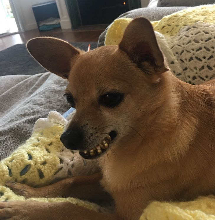 9a2cf1593db9397dfbe8881e8d