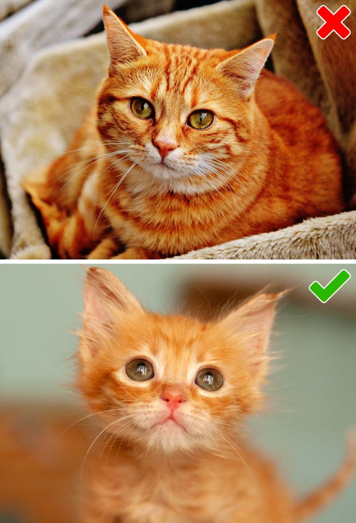 9a38505bc0912ce5d90ede8c89