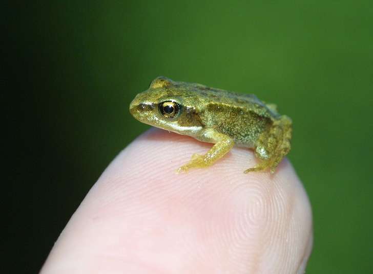 9a3afb57cf83a12a0ef4f84c0c