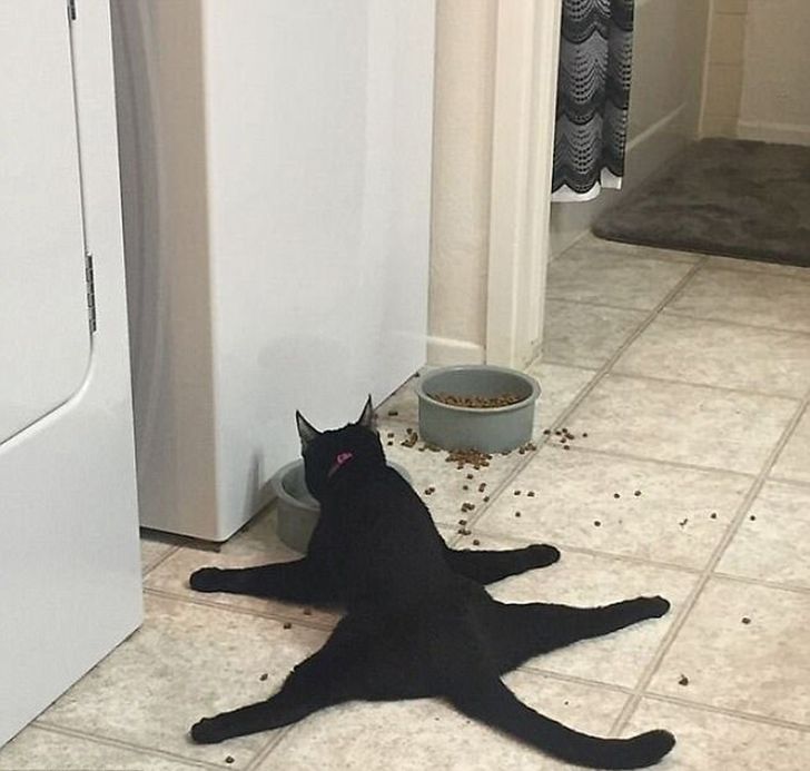 9a4dda5789816bb4f5920d146c