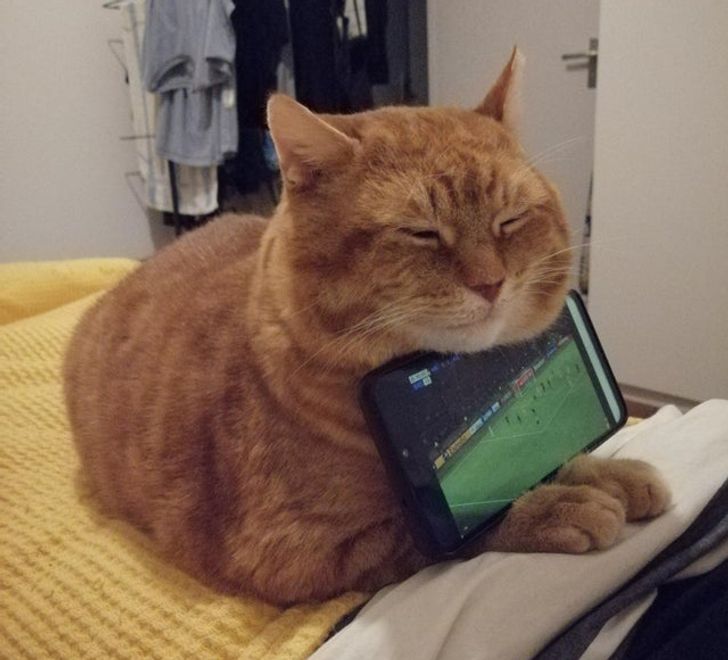 9a53e85b6aae2c037026a96951