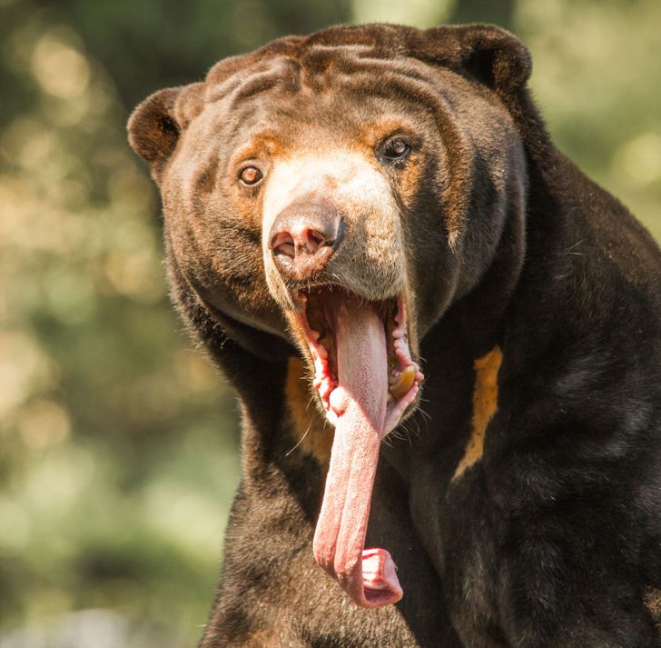 9a54bf5e3da6253f64716067b7