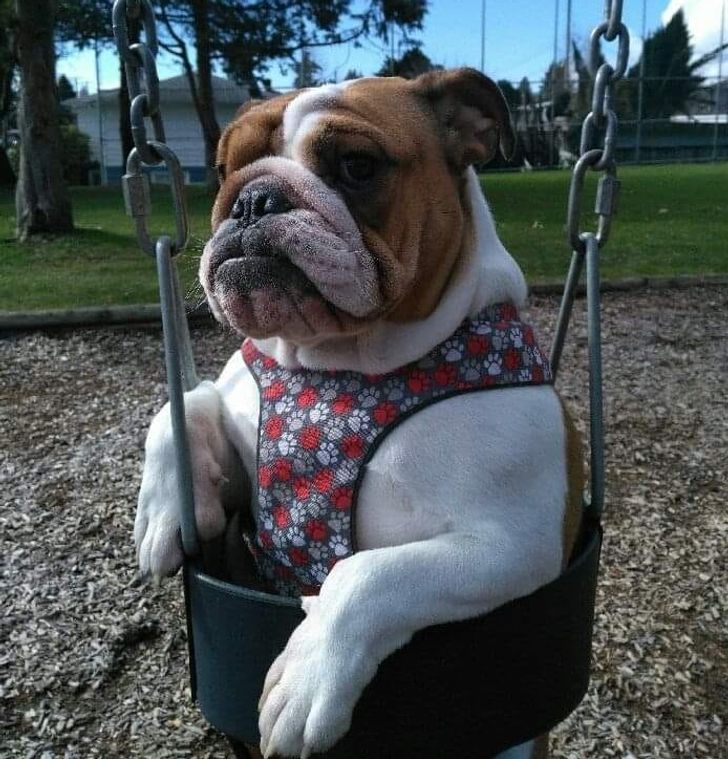 9a5af7552e90c433051b53ca8e