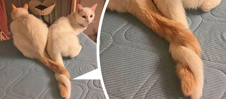 9a5d565b58a960e018e6828729 9a5d565b58a960e018e6828729