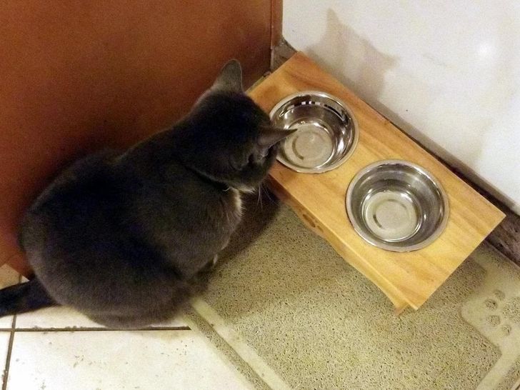 9a623755de8986b917b36dfb0d