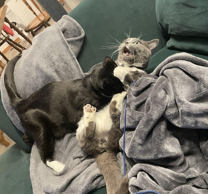 9a69ac585bb963d8fad85d18a7