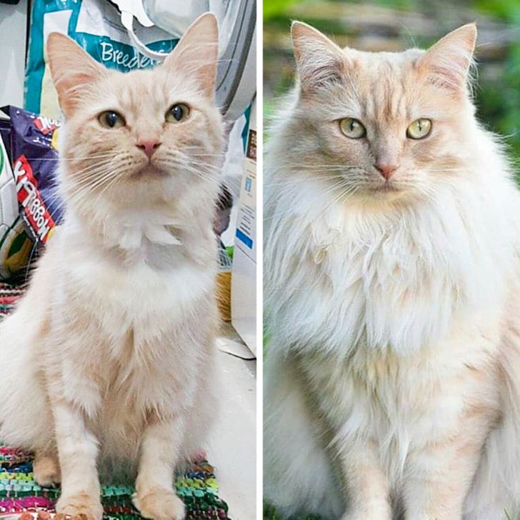 9a6a9559b9ac97a8fa9245d884