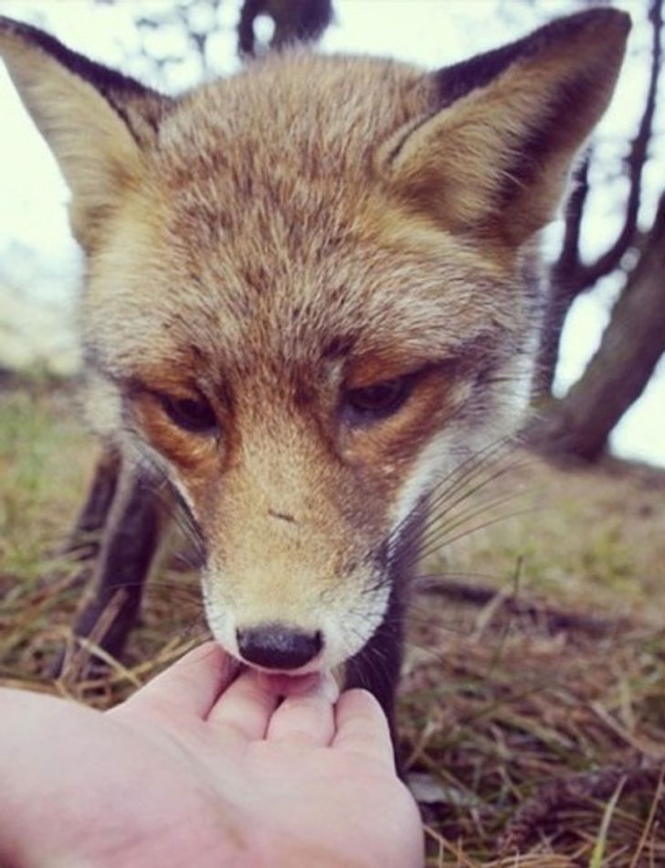 9a7a1b5f6aada9fce1965d554b