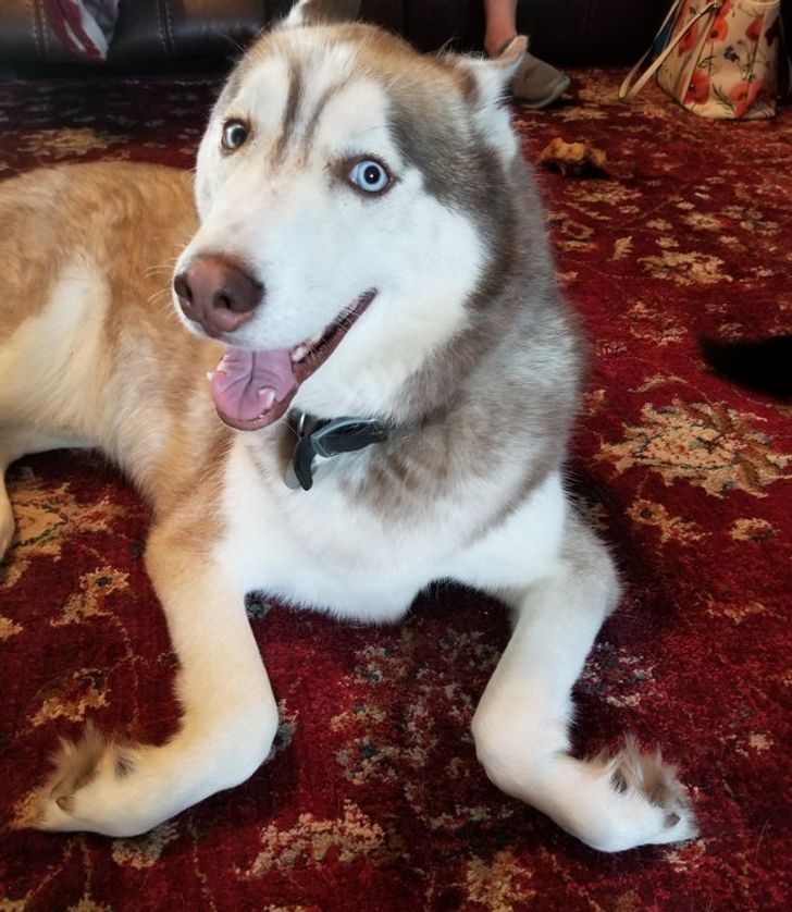 9a7fba5096a2fe0a63be97b97a