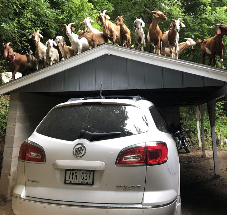 9a8d7a5b23a7fe271f672273e3