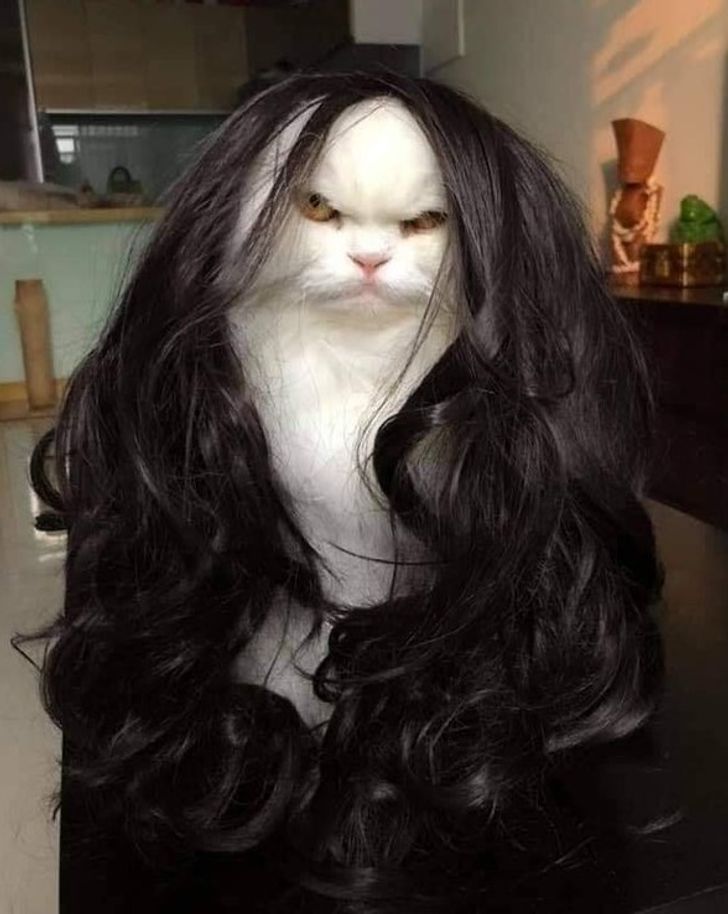 9a8f395423a5cdd60a8270e306