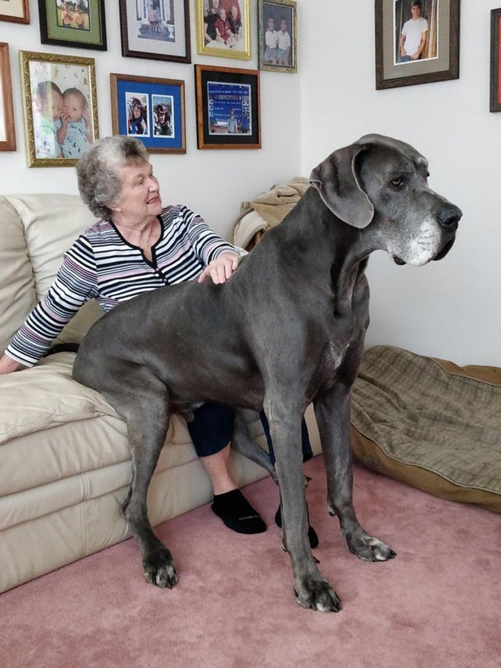 9a983b509bab732fdf3ec94b80