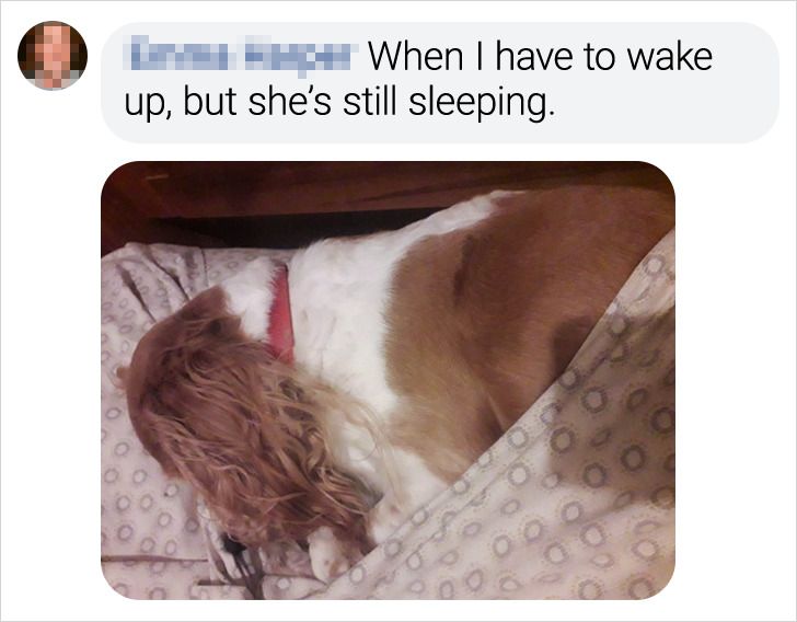 9a986c5dac9fdfeacea6438586